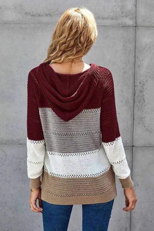 Lillian Colorblock Hooded Knit Sweater Jolie Vaughan Mature Women's Online Clothing Boutique - Image 5