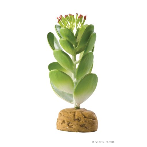 Exo-Terra Plant Jade Cactus (Copy)